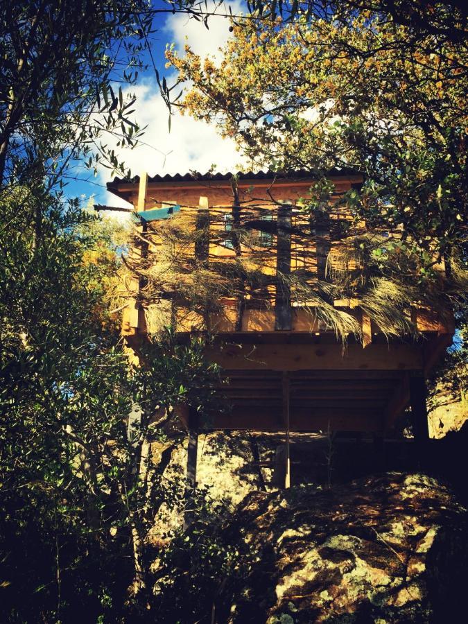 Casa Rural Flores Amarillas Almoharin Exterior photo