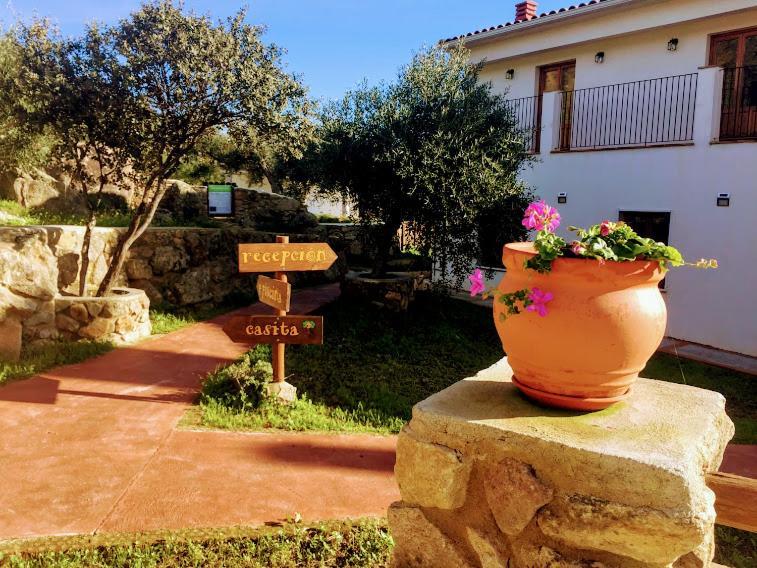 Casa Rural Flores Amarillas Almoharin Exterior photo