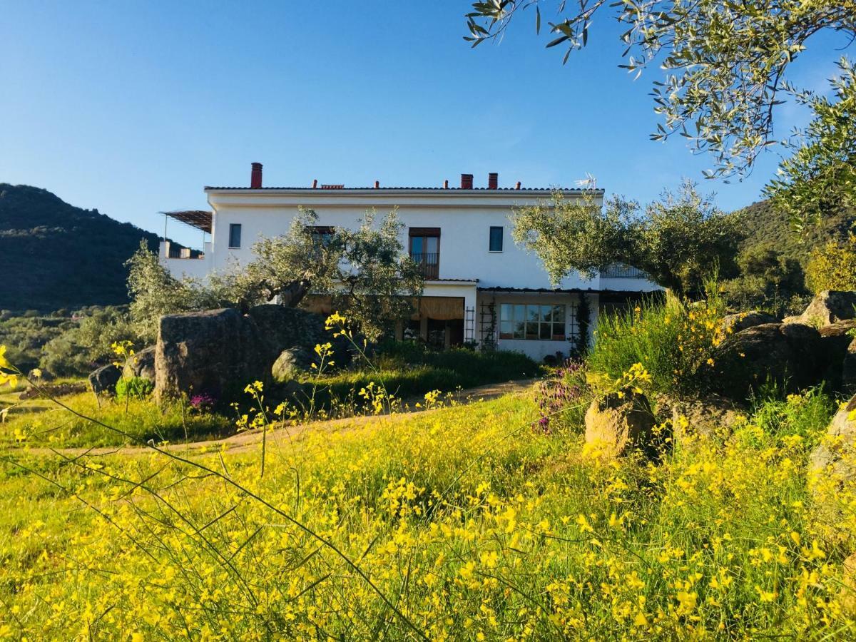 Casa Rural Flores Amarillas Almoharin Exterior photo
